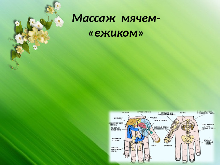 Презентация- отчет на родительское собрание в средней группе.