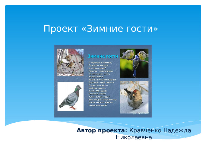 Презентация Проект "Зимние гости"