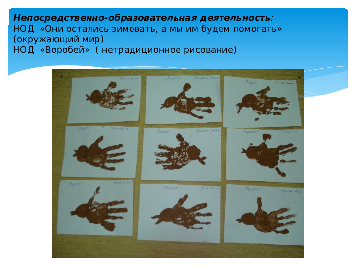 Презентация Проект "Зимние гости"