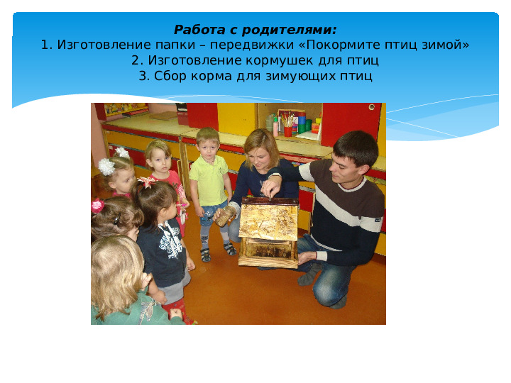 Презентация Проект "Зимние гости"