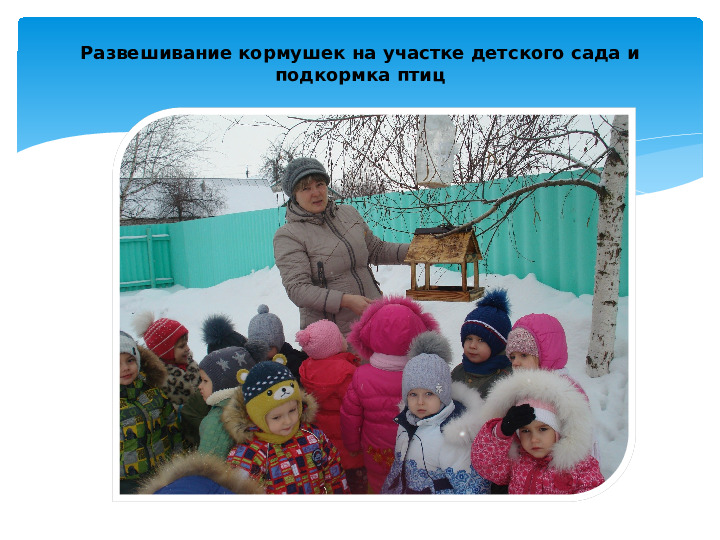 Презентация Проект "Зимние гости"
