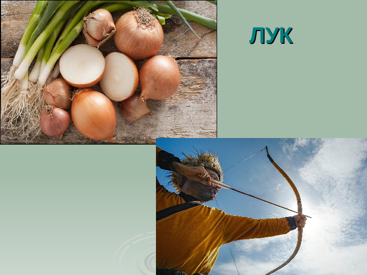 Презентация. Учим буквы. Буква Л.