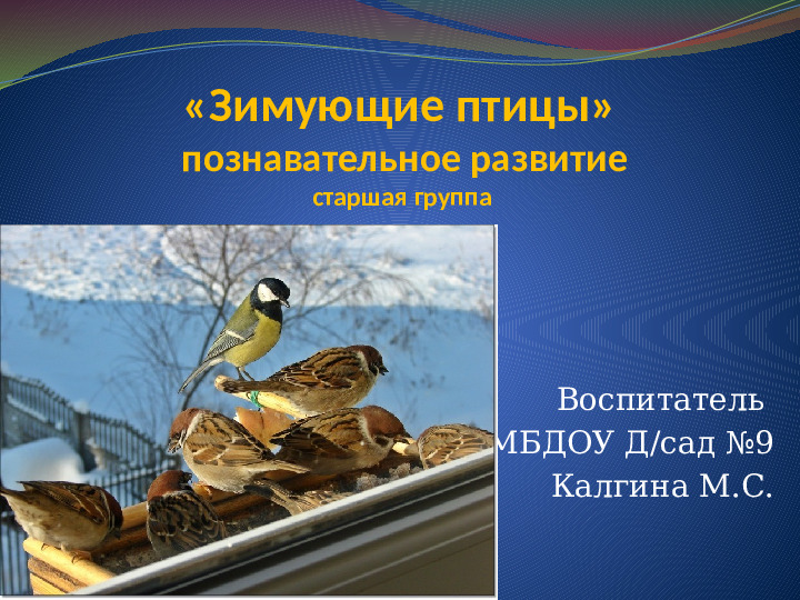 Презентация на тему "Зимующие птицы" (для детей старшей группы ДОО)