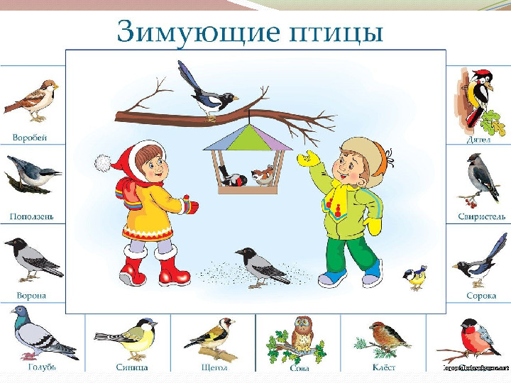 Презентация на тему "Зимующие птицы" (для детей старшей группы ДОО)