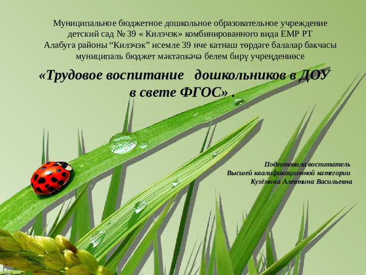 Презентация на тему «Трудовое воспитание дошкольников в ДОУ в свете ФГОС» .