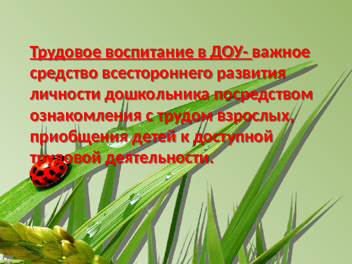 Презентация на тему «Трудовое воспитание дошкольников в ДОУ в свете ФГОС» .