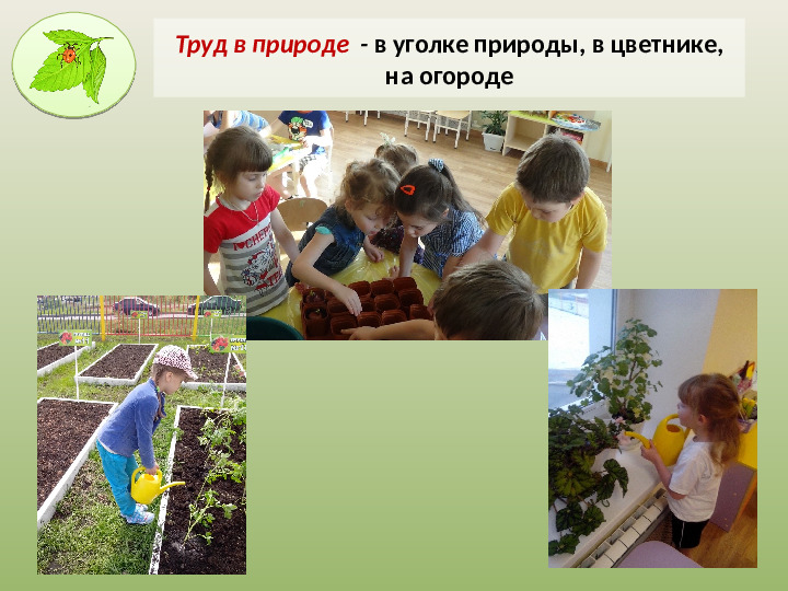 Презентация на тему «Трудовое воспитание дошкольников в ДОУ в свете ФГОС» .