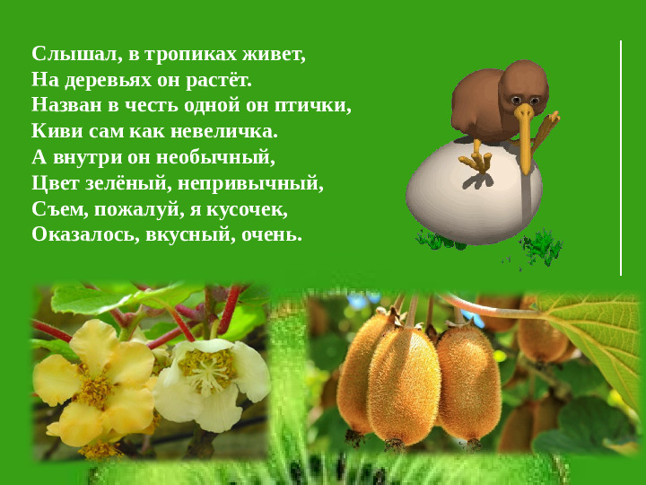 Презентация НПК "Необыкновенный киви"