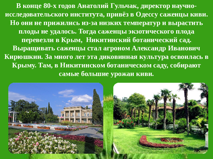 Презентация НПК "Необыкновенный киви"