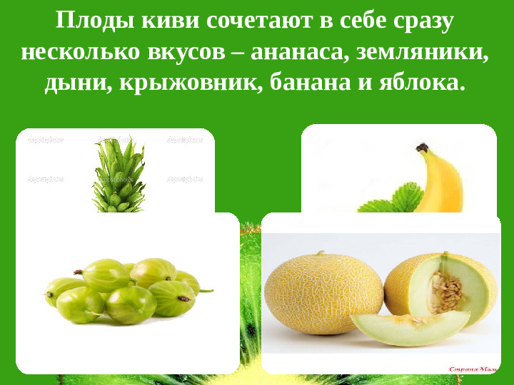 Презентация НПК "Необыкновенный киви"
