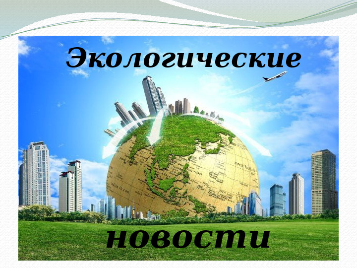 "Свалка по имени Земля"