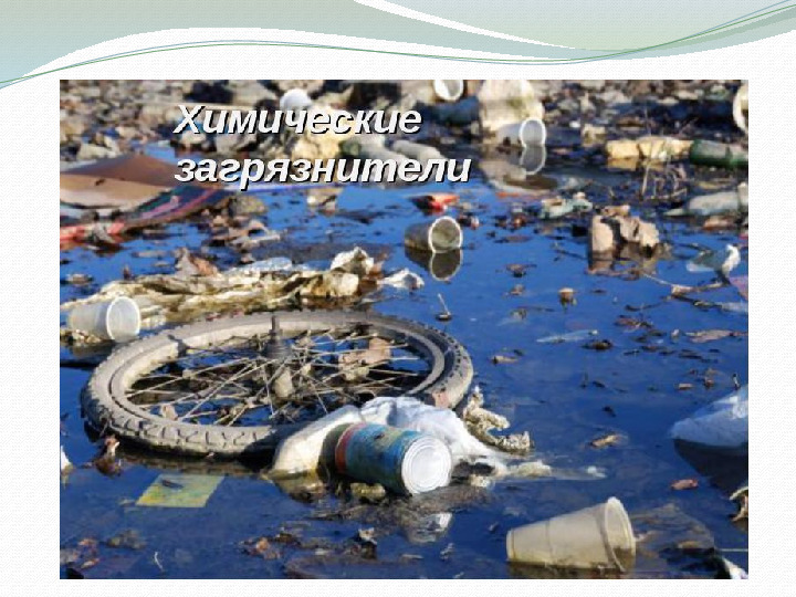 "Свалка по имени Земля"