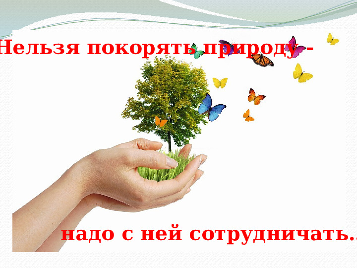 "Свалка по имени Земля"