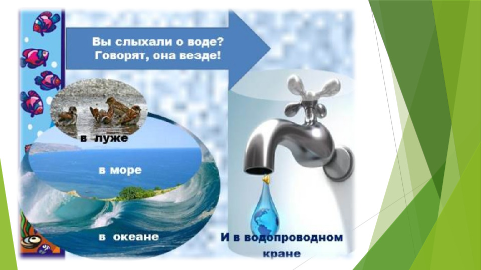 "Вода - источник жизни!"
