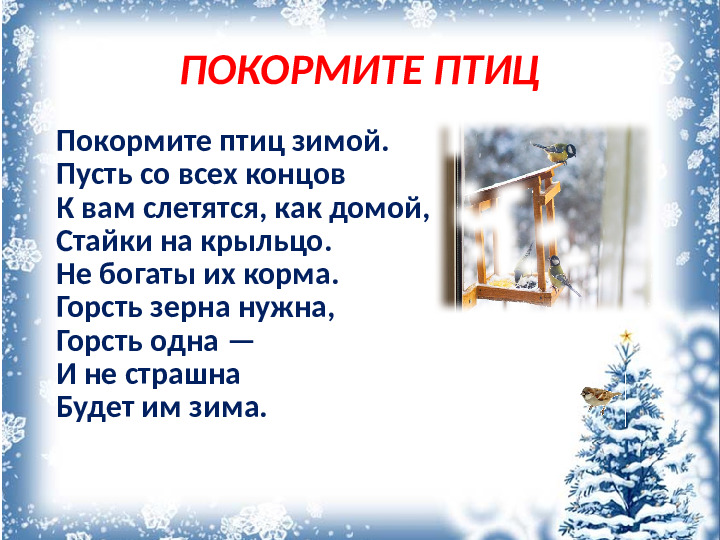 Презентация "Покормите птиц зимой"