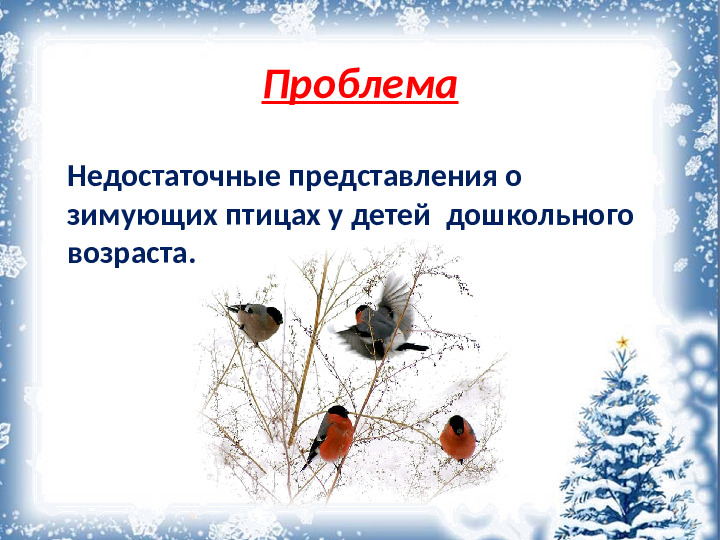 Презентация "Покормите птиц зимой"