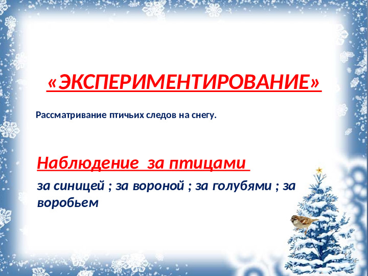 Презентация "Покормите птиц зимой"