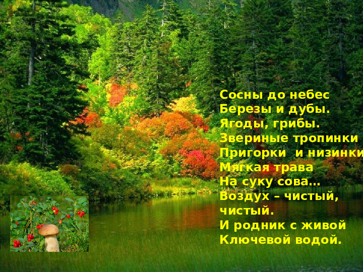 Презентация к мастер-классу на тему выступления: «Взаимоотношения человека и природы - познаем мир играя»