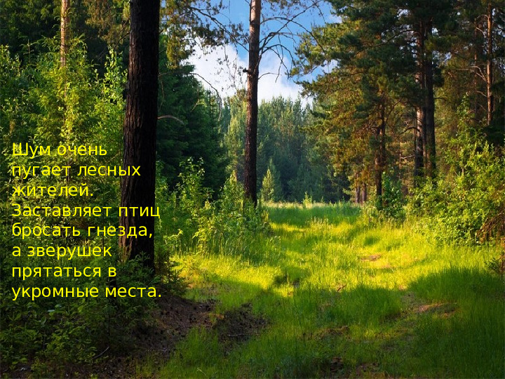 Презентация к мастер-классу на тему выступления: «Взаимоотношения человека и природы - познаем мир играя»