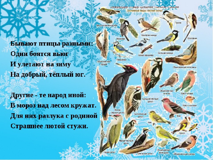 Презентация к мастер-классу на тему выступления: «Взаимоотношения человека и природы - познаем мир играя»