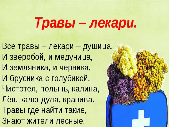Презентация к мастер-классу на тему выступления: «Взаимоотношения человека и природы - познаем мир играя»