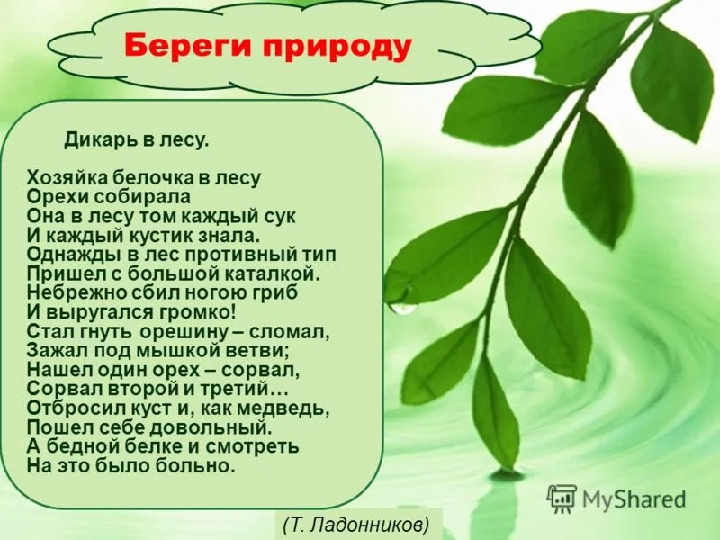Презентация к мастер-классу на тему выступления: «Взаимоотношения человека и природы - познаем мир играя»