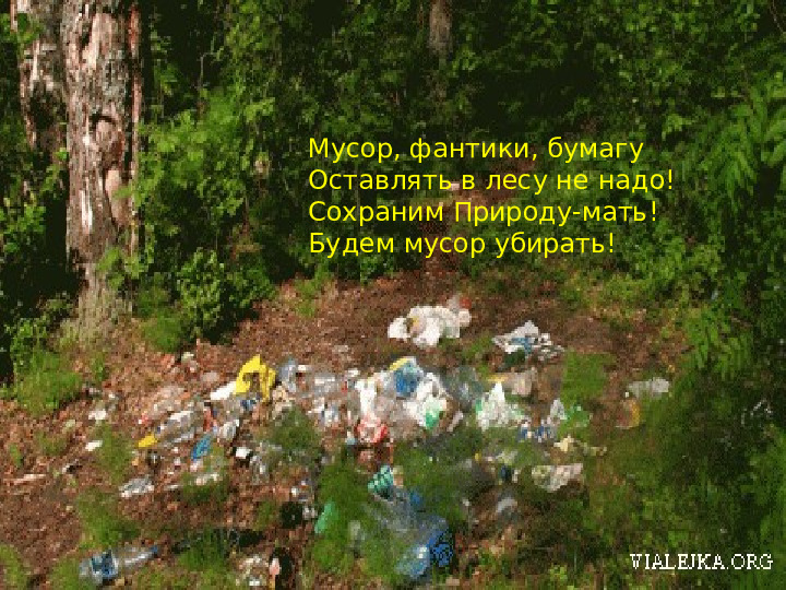 Презентация к мастер-классу на тему выступления: «Взаимоотношения человека и природы - познаем мир играя»