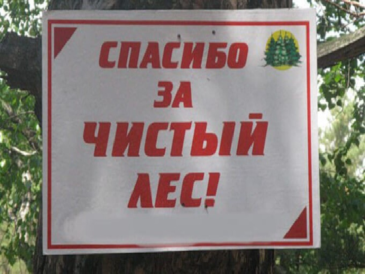Презентация к мастер-классу на тему выступления: «Взаимоотношения человека и природы - познаем мир играя»