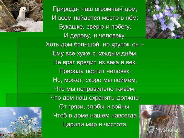 Презентация к мастер-классу на тему выступления: «Взаимоотношения человека и природы - познаем мир играя»