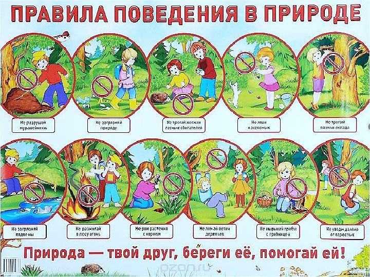 Презентация к мастер-классу на тему выступления: «Взаимоотношения человека и природы - познаем мир играя»
