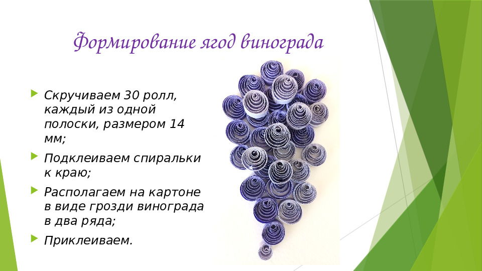 Презентация "Виноградная лоза в технике квиллинг"