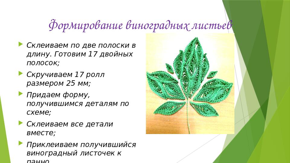 Презентация "Виноградная лоза в технике квиллинг"
