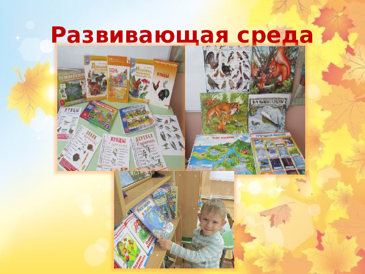 Презентация по экологическому проекту"Окно в природу.Осень"