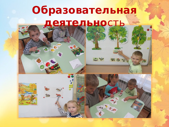 Презентация по экологическому проекту"Окно в природу.Осень"