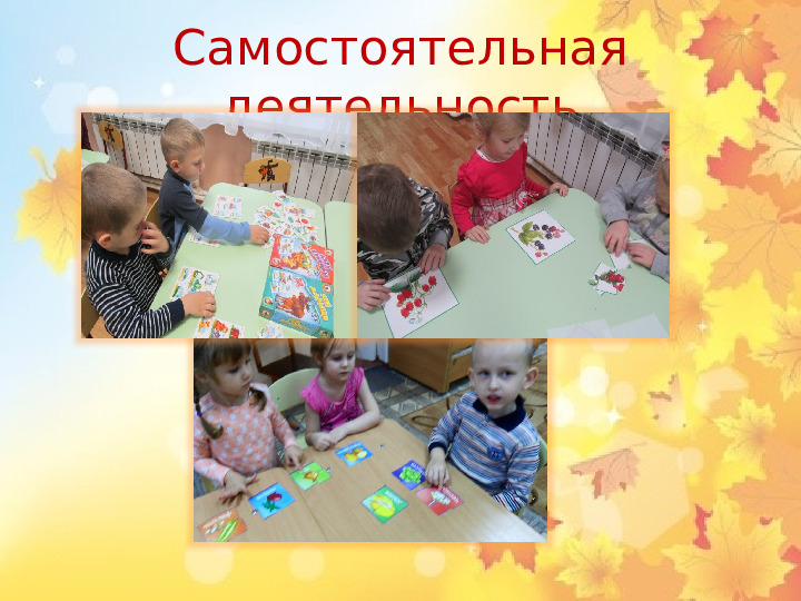 Презентация по экологическому проекту"Окно в природу.Осень"
