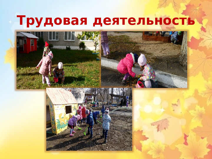 Презентация по экологическому проекту"Окно в природу.Осень"