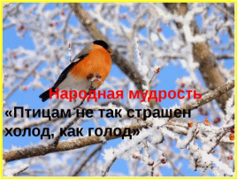 Picture 55