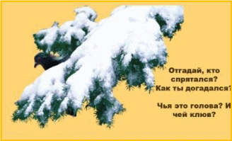 Picture 26