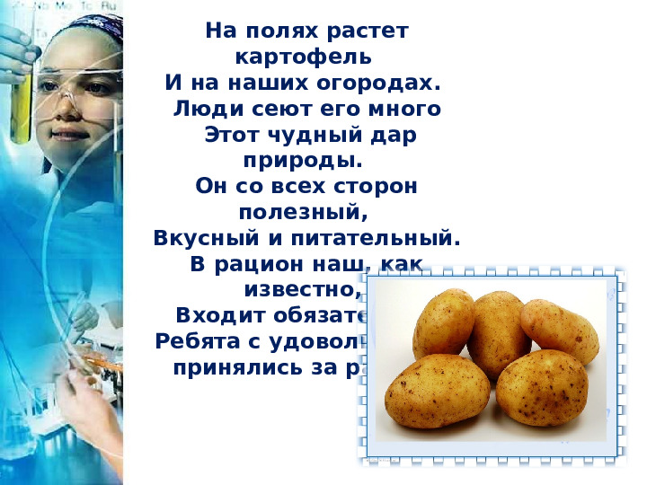 Презентация интегрированной НОД с элементами исследовательской деятельности: "Удивительная картошка"