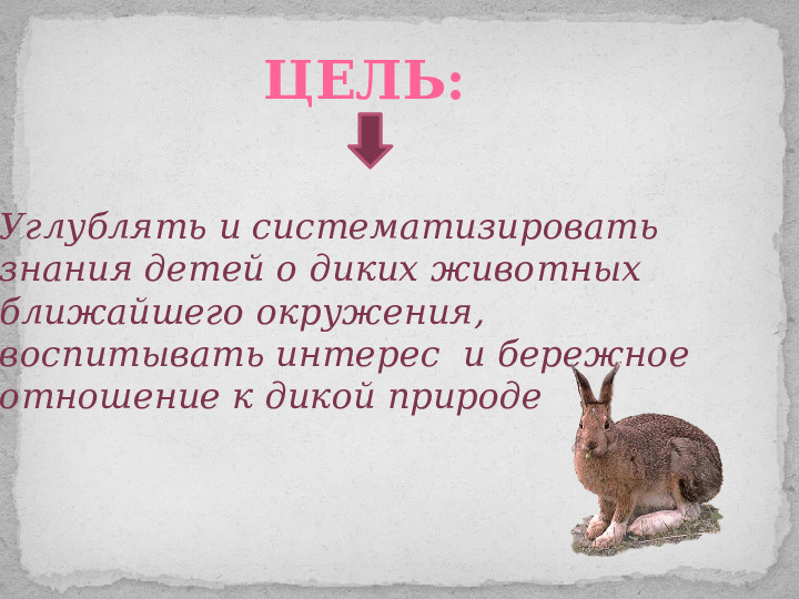 Проект ознакомления дошкольников с дикими животными