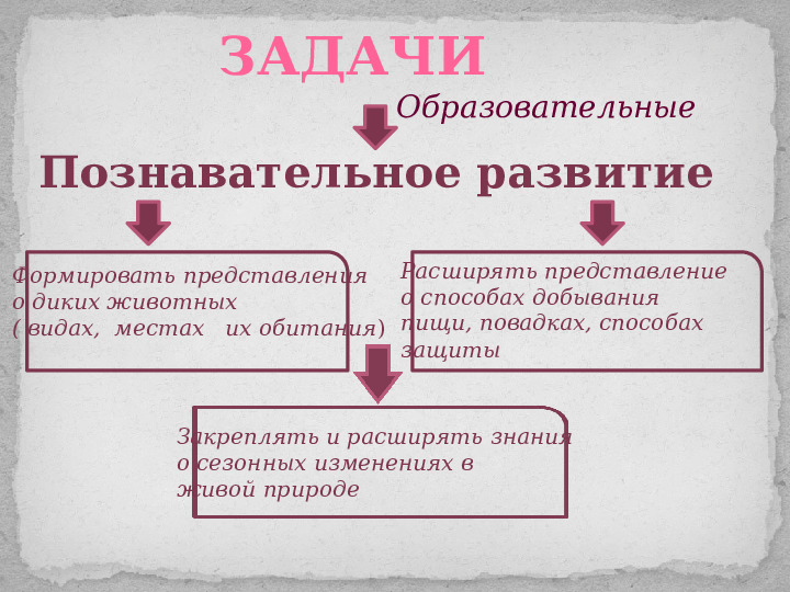 Проект ознакомления дошкольников с дикими животными