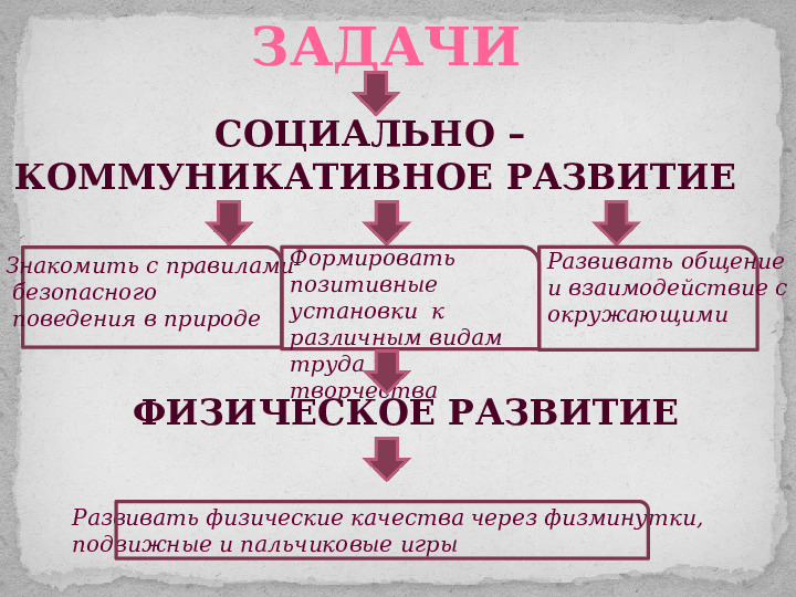 Проект ознакомления дошкольников с дикими животными