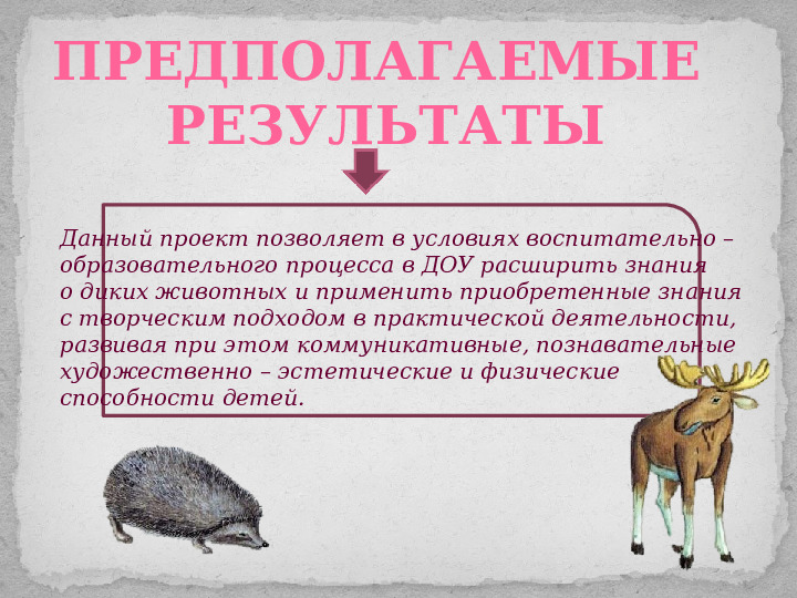 Проект ознакомления дошкольников с дикими животными