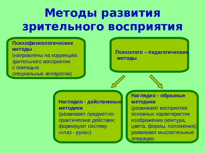 Презентация "Развитие зрительного восприятия детей с нарушением зрения"
