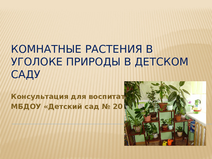 Перечень комнатных растений в уголке природы детского сада в соответствии с возрастом