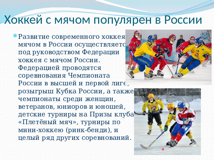 Ознакомление детей дошкольного возраста с видом спорта "Хоккей с мячом"