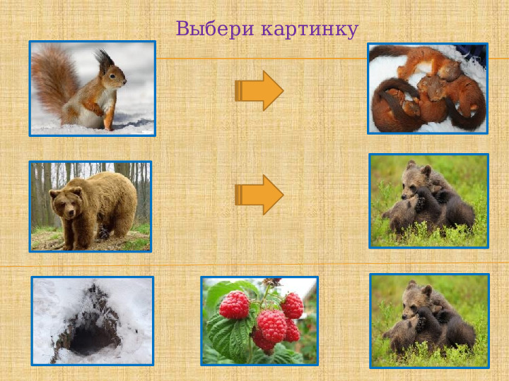 Презентация по развитию речи "Как звери готовятся к зиме"