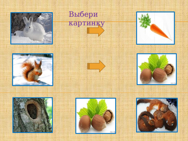 Как живут животные презентация и конспект урока 1 класс школа россии