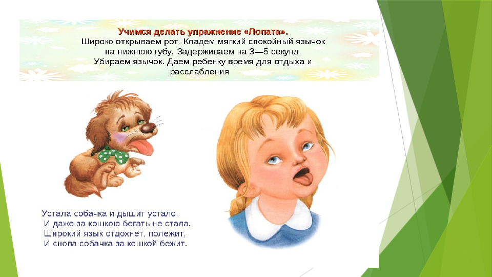 Комплекс артикуляционной гимнастики для детей дошкольного возраста с нарушением звукопроизношения