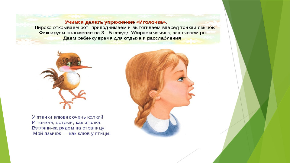 Комплекс артикуляционной гимнастики для детей дошкольного возраста с нарушением звукопроизношения